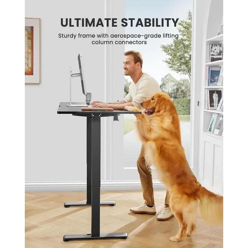 Dual Motor Height Adjustable Home Office Desk