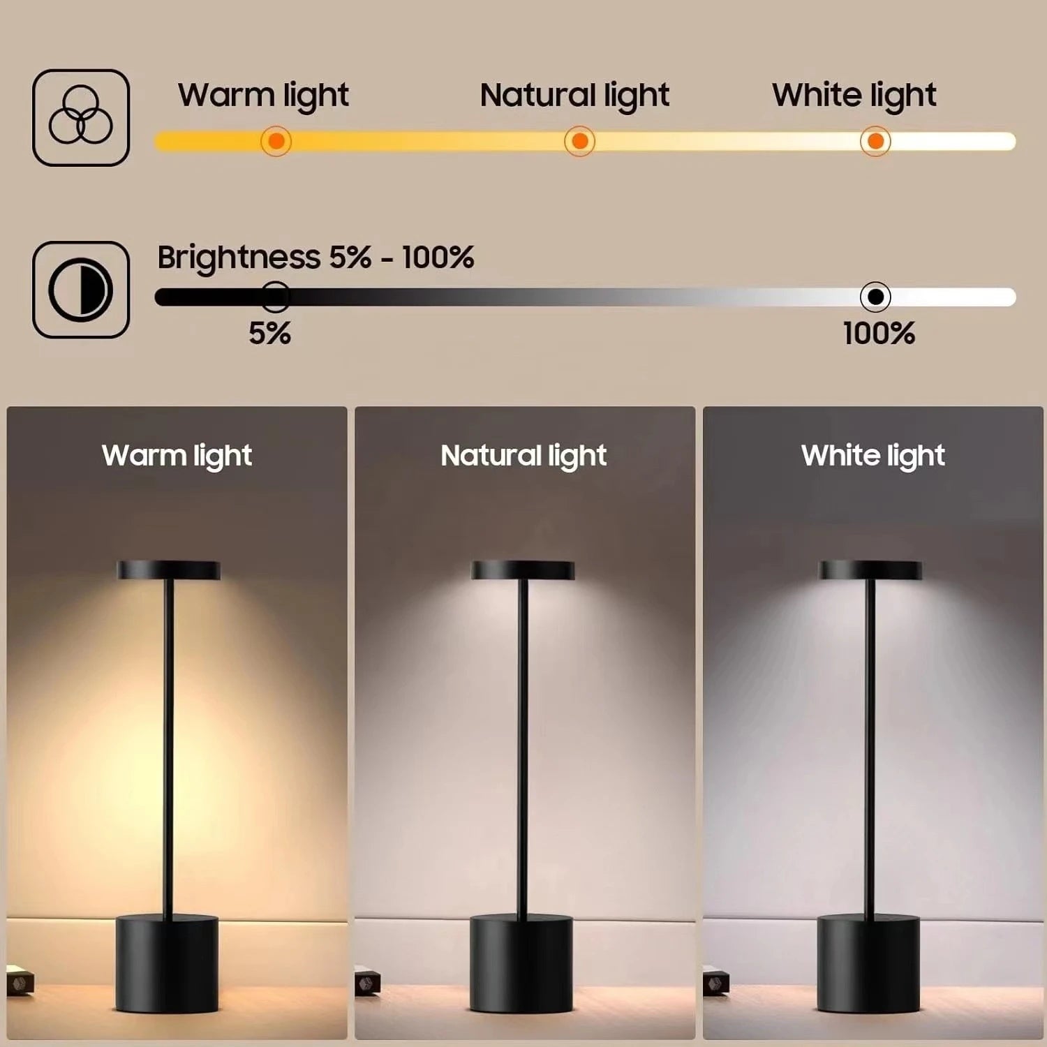 USB Metal Desk Lamp